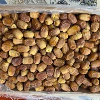 خرما درجه یک