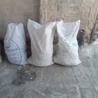 کود کفتر|گل و گیاه طبیعی|ری, صفاییه (چشمه علی)|دیوار