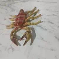 فیگور حیوانات|اسباب‌‌بازی|شهریار, شهرک وائین|دیوار