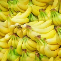 رنگاوری موز پذیرفته میشود کارتنی ۱۵ تومن