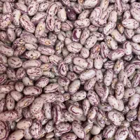 لوبیا چیتی خوش پخت