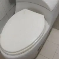 توالت فرنگی