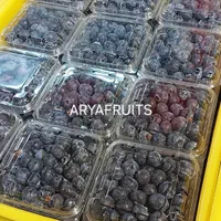 بلوبری فریز و تازه ایرانی گلخانه ای