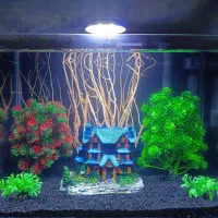 با کلیه لوازم برای فروش