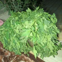 شیتیل بادمجان