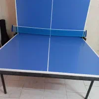 میز پینگ پنگ حرفه ای