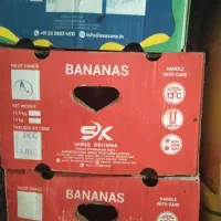 کارتون موزی