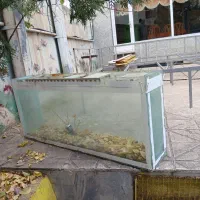 آکواریوم بزرگ با شیشه سکوریت