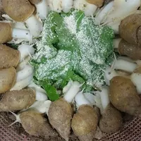 حلزون