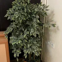 درختچه مصنوعی