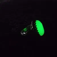 انگشتر گوهر شب چراغ