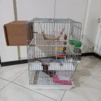 فروش قفس بزرگ ۱۰۳۳ با کلی لوازم