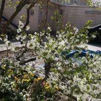 منزل مسکونی ویلایی