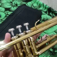 ترومپت|سازهای بادی|سبزوار, باهنر|دیوار