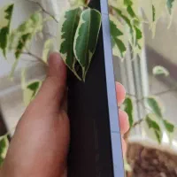 Xiaomi 14t pro|موبایل|بانه, |دیوار