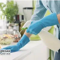 خانم جهت امور منزل