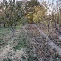 باغچه-الوان-برقدار-قره-گوز-ایل