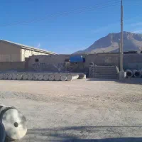 لوله سیمانی(گوم چاه)لوله مخصوص پل وگلدان|مصالح و تجهیزات ساختمان|شهرکرد, |دیوار