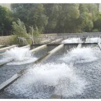 کارگر ساده ۲۴ ساعته