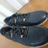 کفش|کیف، کفش، کمربند|سبزوار, باهنر|دیوار