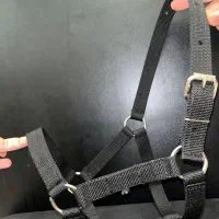 کله گیر پا آخوری اسب و گاو|اسب و تجهیزات اسبسواری|لاهیجان, کوی آزادگان|دیوار