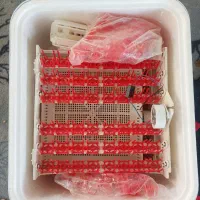 دستگاه جوجه کشی ایزی باتور۲|لوازم جانبی حیوانات|تربتحیدریه, کلاته توکلی|دیوار