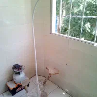 پایه ایستاده قفس پرنده