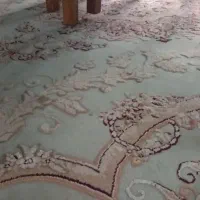 فرش ۶ متری|فرش|نوشهر, |دیوار