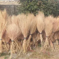 جارو محلی شماره تماس