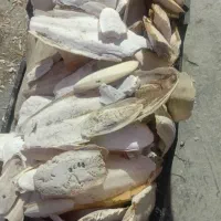 کاسه انکاس|ماهی|قشم, |دیوار