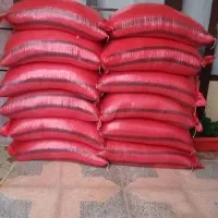 لوبیا قرمز