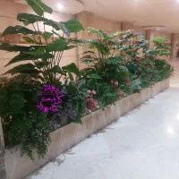 جدیدترین مدلهای اجرا شده درختچه و گیاه مصنوعی