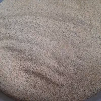 ارزن تازه بوجاری شده|پرنده|الوند, |دیوار