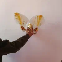 روشنایی گازی|لوستر و چراغ آویز|بناب, |دیوار