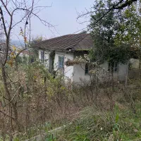 فروش-کلنگی-کوهپایه-ای