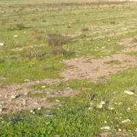 زمین ۳۵۰ متری