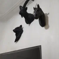 مجسمه دیوارکوب