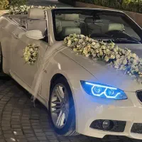 تم بله برون،ماشین عروستم حنابندانباقیمت استثنای