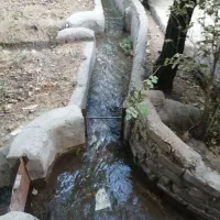 یک-قواره-باغ-ویلا-میوه