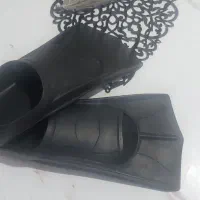 فین شنا