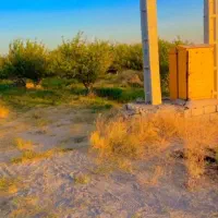 فروش باغ بر جاده مردق چای