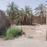 فروش 250 تختی 17با پروانه