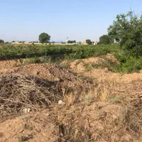 باغ انگور|فروش دفتر صنعتی، کشاورزی، تجاری|تاکستان, |دیوار