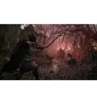 Lord of the fallen PS5