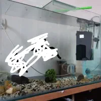 آکواریوم بزرگ