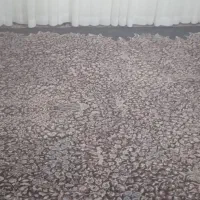 قالی ۱۲ متری تعداد ۲عدد به مبلق دوازده میلیون