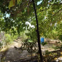 باغ درجزین 730متر|فروش خانه و ویلا|مهدی شهر, |دیوار