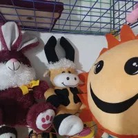 تعدادی وسایل بچه|اسباب و اثاث بچه|اراک, |دیوار