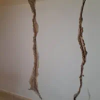 سمپاشی تضمینی|خدمات نظافت|شیراز, آزادی|دیوار