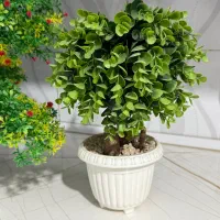 گل مصنوعی|گل مصنوعی|پرند, فاز ۳|دیوار